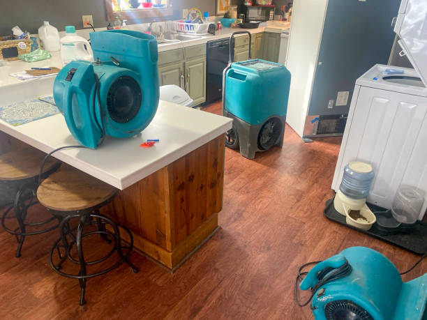 Best Residential water damage restoration  in Jonestown, PA