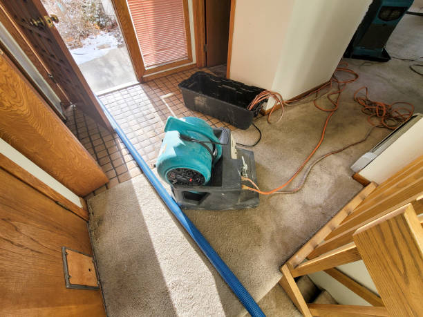 Best Professional water damage repair  in Jonestown, PA
