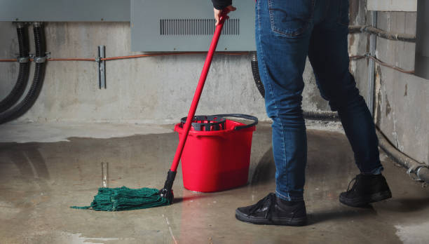 Water damage restoration mold remediation in Jonestown, PA