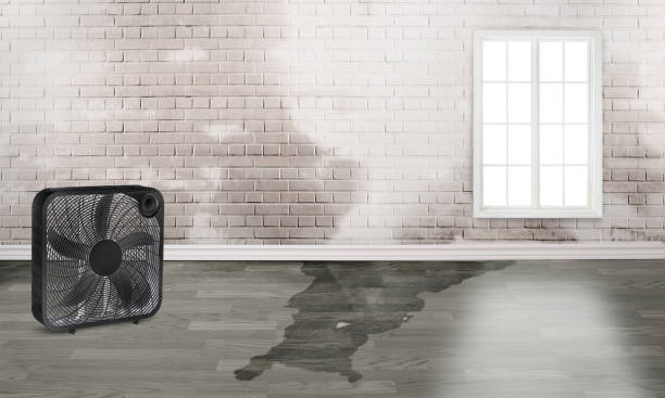 Best Water damage restoration company  in Jonestown, PA