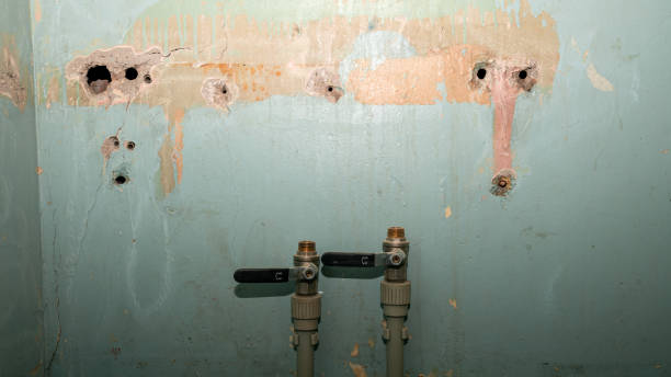 Best Flood restoration services  in Jonestown, PA