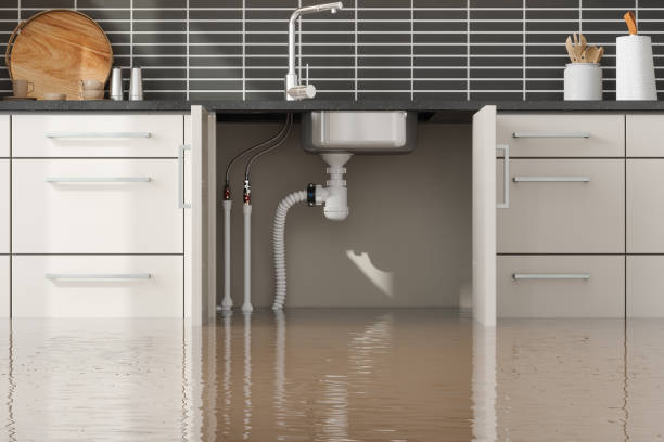 Best Sewage cleanup and water damage restoration  in Jonestown, PA