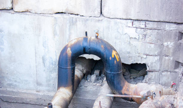 Best Mold removal after water damage  in Jonestown, PA