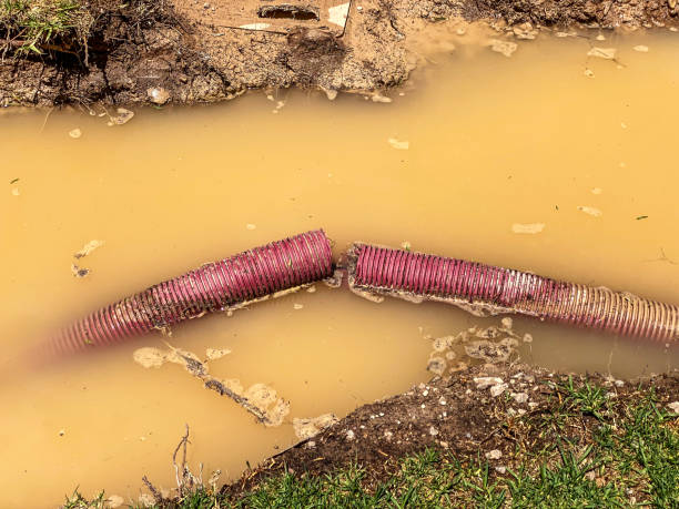 Best 24/7 water damage repair  in Jonestown, PA