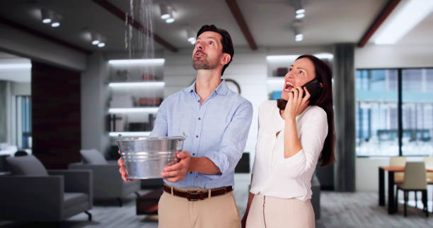 Best Fire Damage Restoration  in Jonestown, PA
