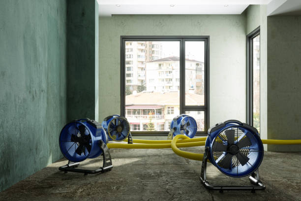 Best Water damage restoration specialists  in Jonestown, PA