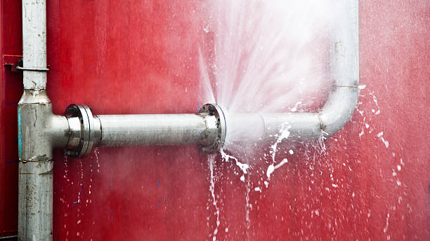 Best Mold removal after water damage  in Jonestown, PA